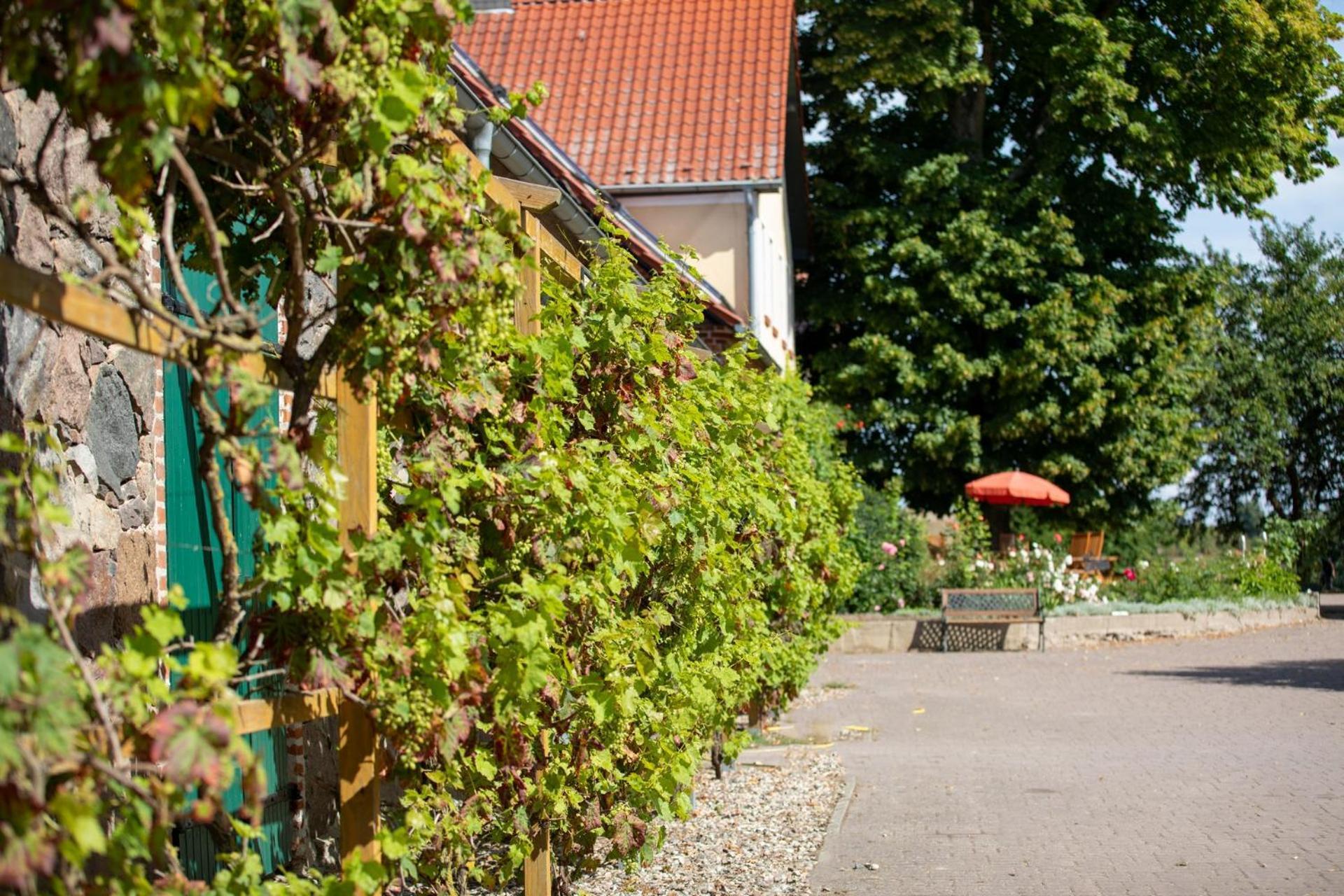 Landurlaub Auf Dem Mellenhof Apartment Funkenhagen Ngoại thất bức ảnh